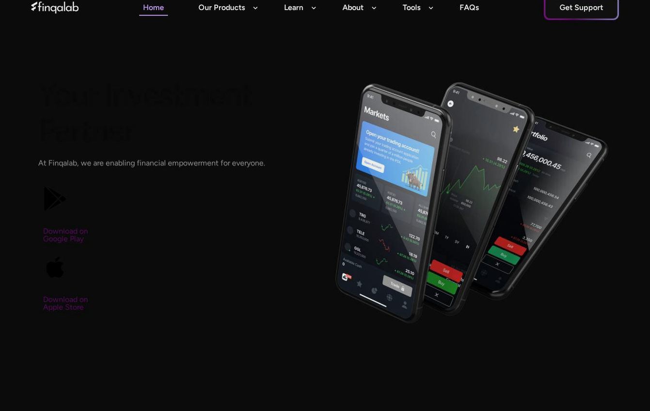 Screenshot of the Finqalab website